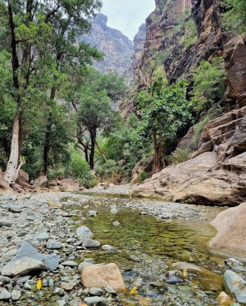 SUSTAINABILITY & ECO-ADVENTURE